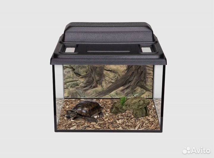 Аквариум террариум