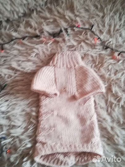 Одежда для собак и кошек