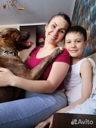 Мини - Зоогостиница.Передержка кошек и собак