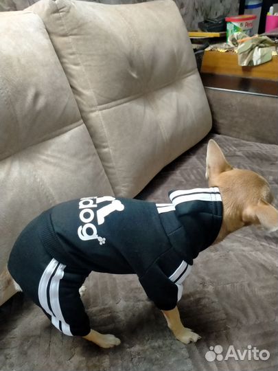 Комбендзон для собак S