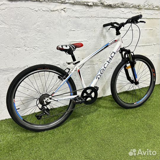 Десна метеор 24