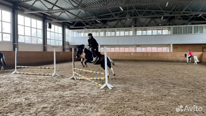 Верховая езда лошади конный спорт аренда