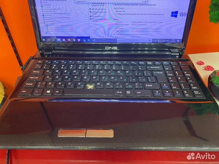 Ноутбук DNS W253EGQ (000738)