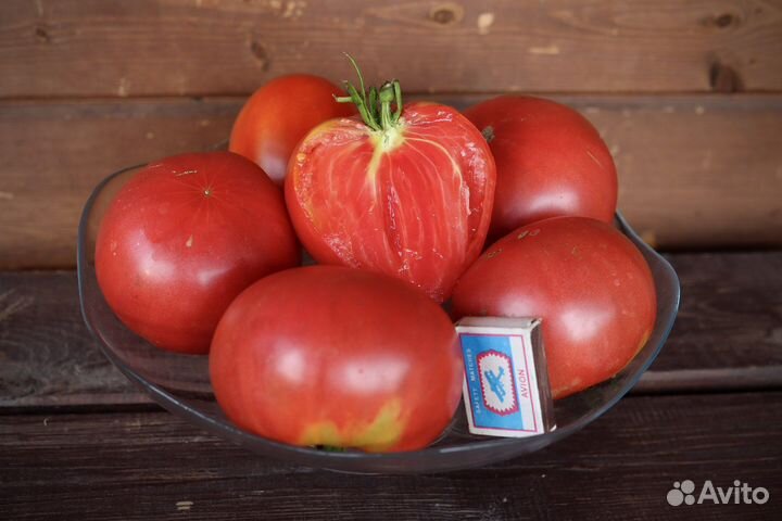 Помидоры домашние