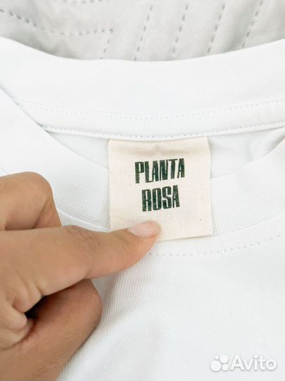 Planta rosa футболка