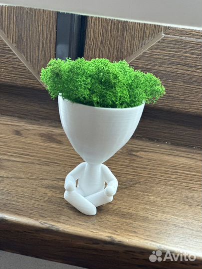 Стабилированный мох