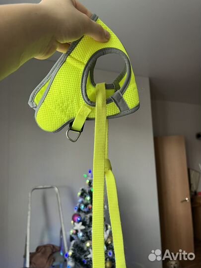 Шлейка с поводком светоатрожающая Triol xs