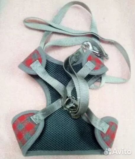 Шлейки для собак в ассортименте