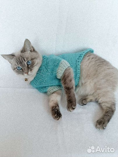 Свитер для кошки и собаки