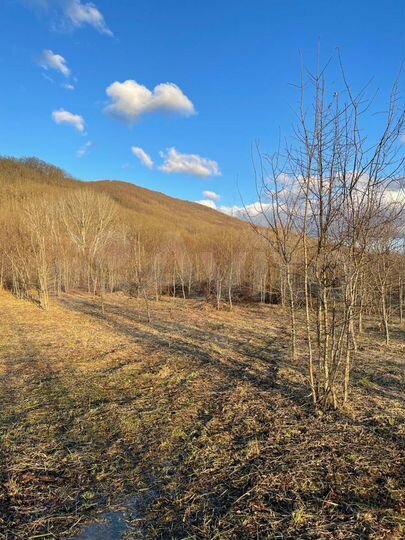 Участок 20 сот. (ИЖС)