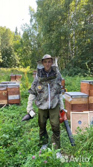 Пчеломатки