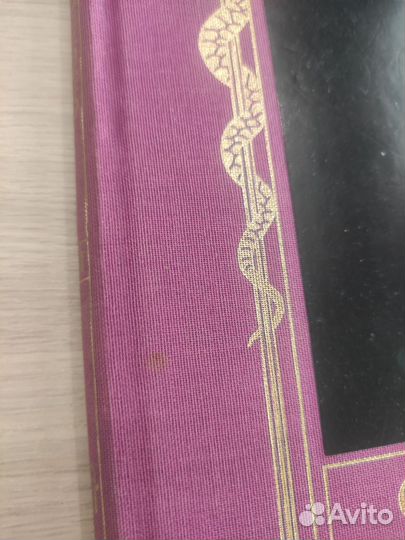 Зачарованный мир сказания ужасов