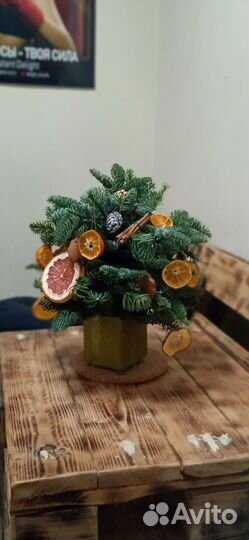 Новогодние композиции из Нобилиса