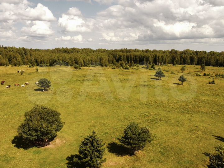 Участок 1,26 га (СНТ, ДНП)