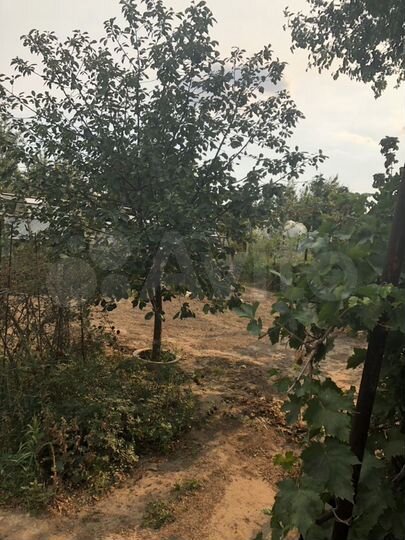 Дача 20 м² на участке 9 сот.