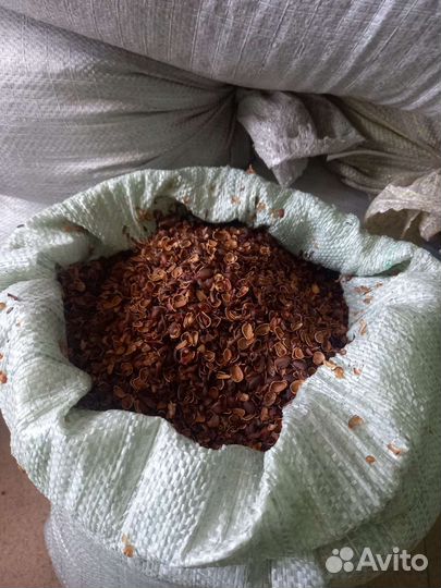 Скорлупа кедрового ореха