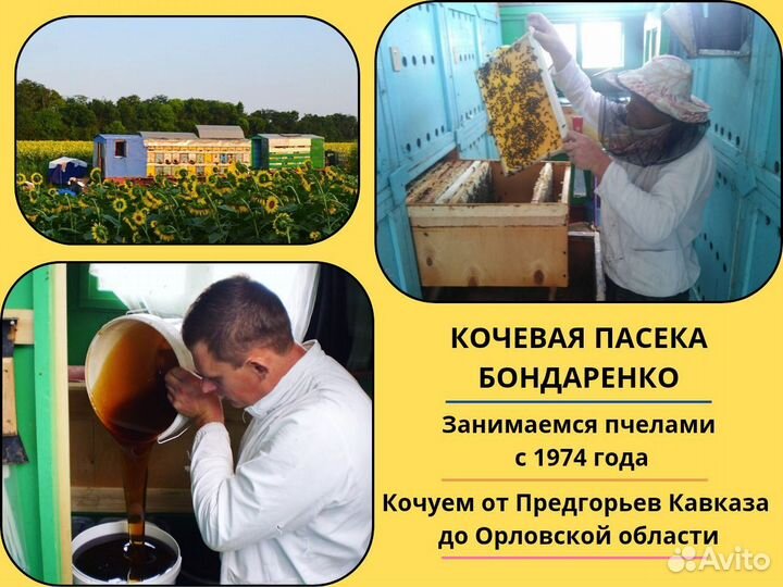 Липовый мед 2024