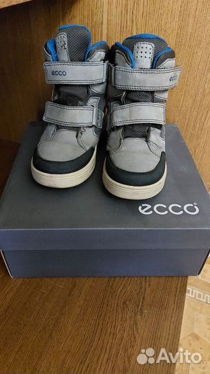 Ботинки ecco на мальчика