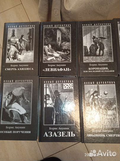 Коллекция книг Акунина