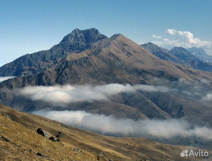 В р. Осетию 5 дн. + питание