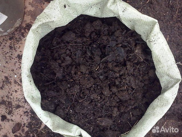 Коровий навоз в мешках 50 л