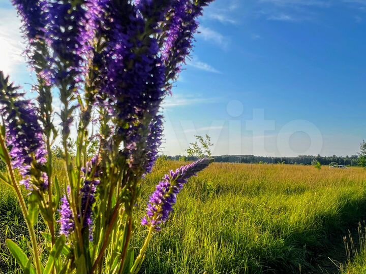 Участок 10 сот. (ИЖС)