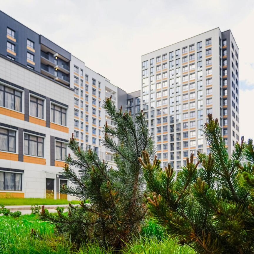 1-к. квартира, 33,6 м², 17/18 эт.