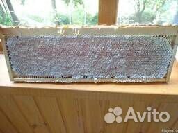 Обучу ремеслу 