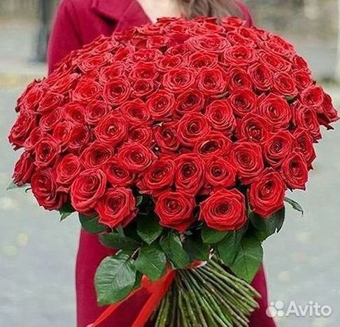 Высокие Розы с Доставкой