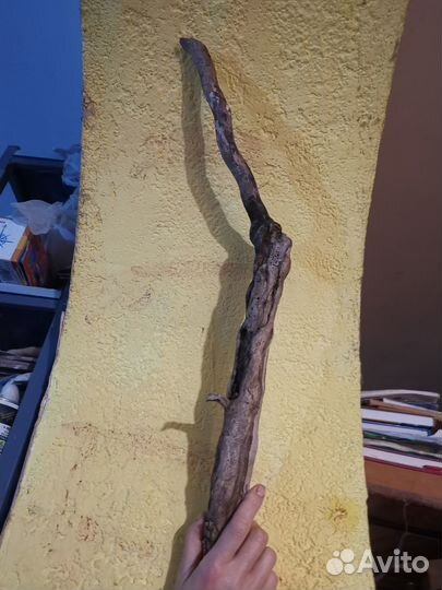 Коряга дрифтвуд