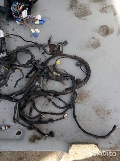 Проводка двигателя Nissan X-Trail QR25 2012