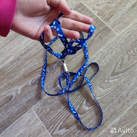 Товары для животных