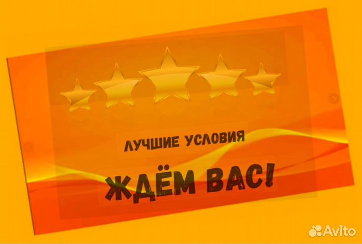 Автоэлектрик вахта Выплаты еженед. Жилье /Еда /Хорошие условия