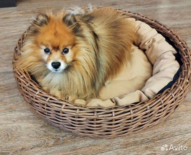 Плетенная корзина