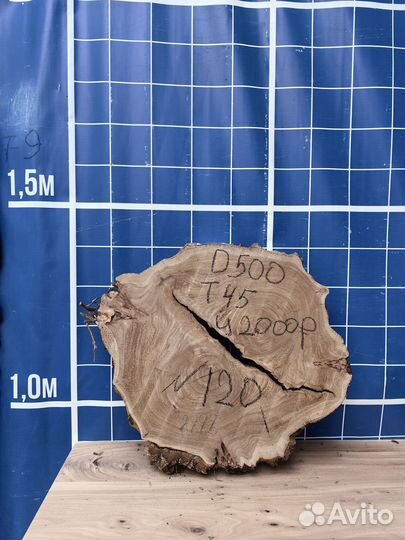 Спил карагач \ спил дерево