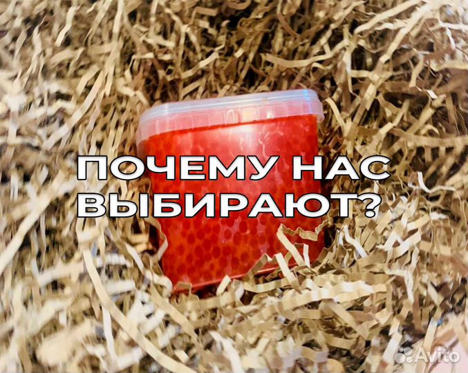 Бизнес с нуля на красной икре без вложений