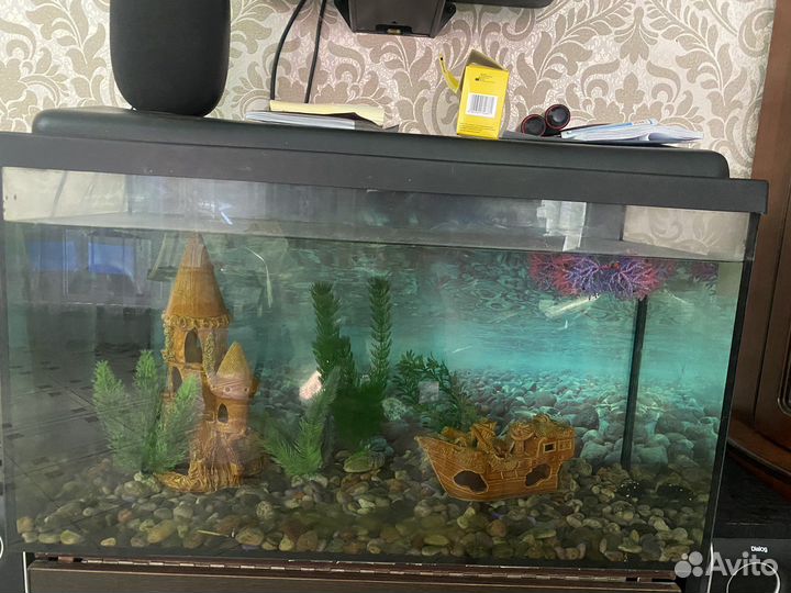 Аквариум