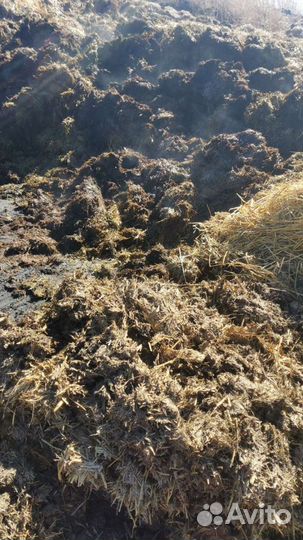 Коровяк на соломе от 3 до 8 кубов