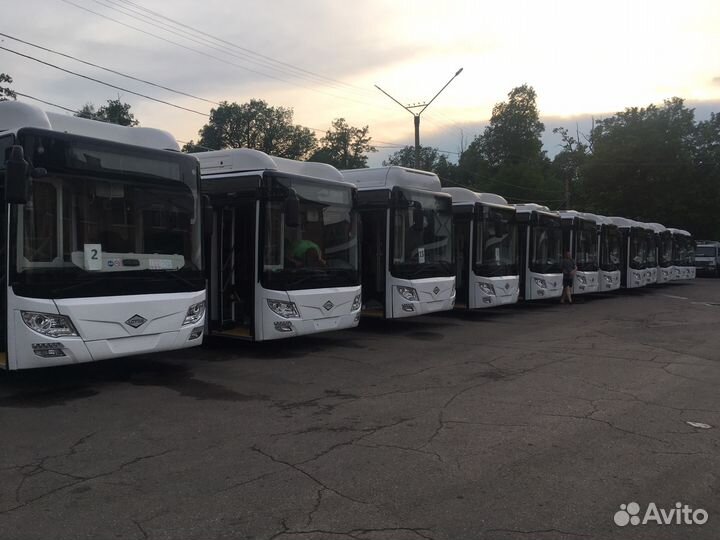 Требуется водитель АВТОБУСА