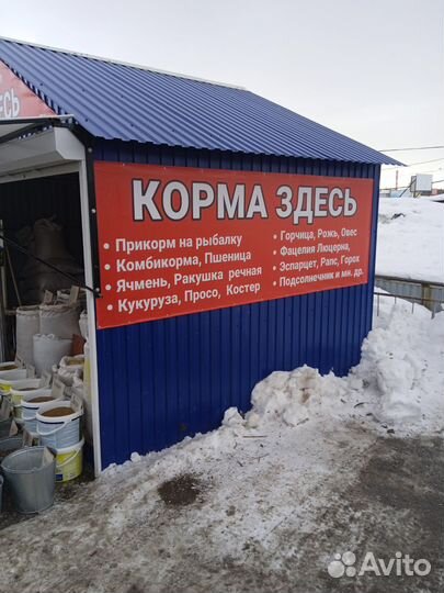Семена многолетних трав