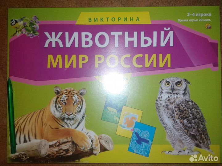 Игры - викторины новые