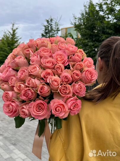 Роза персиковая букет 51 шт.Доставка