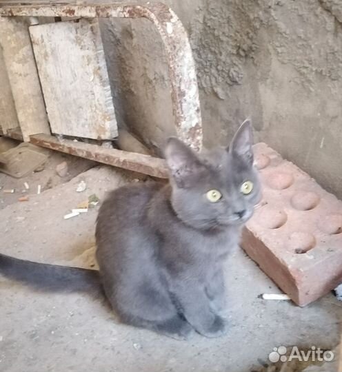 Подбросили девочку, 3 мес