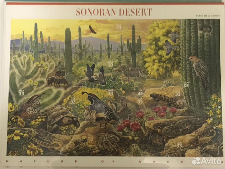 Марки nature of america вся серия