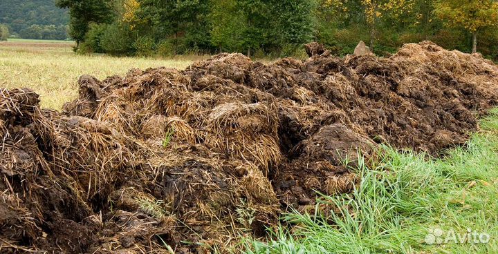 Навоз перегной