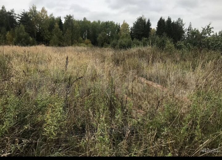 Дом 100 м² на участке 30,5 сот.