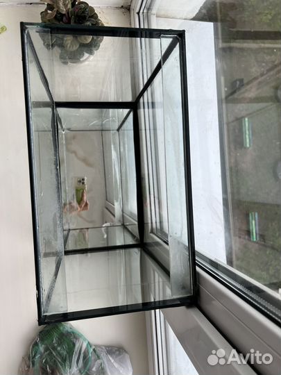 Аквариум для рыбок