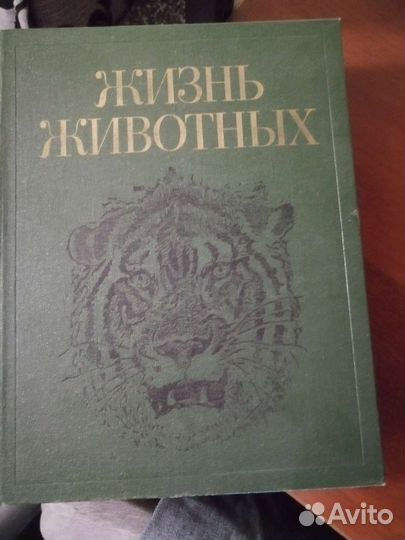 Энциклопедия жизнь животных