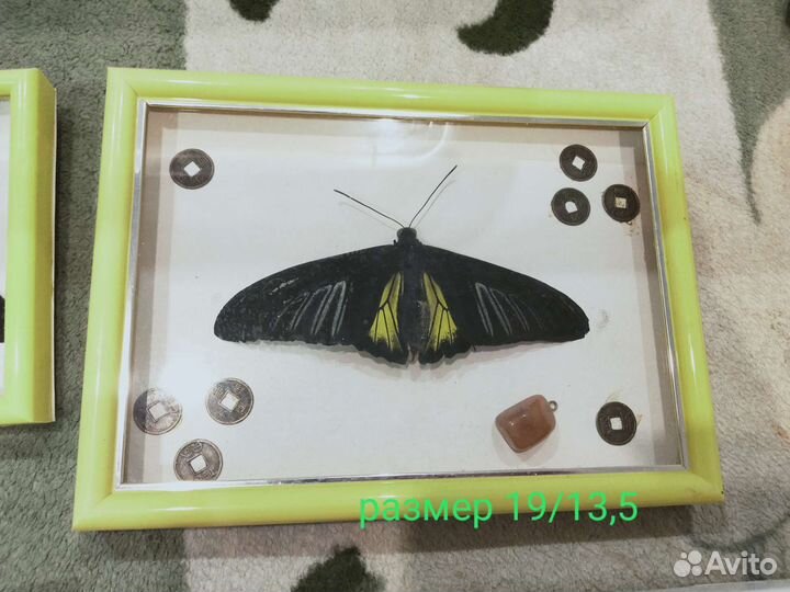 Панно бабочки