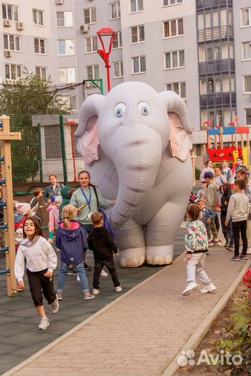 Гигантский слон поздравление